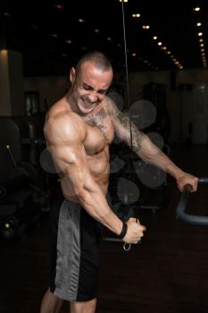 Handsome Muscular Fitness Bodybuilder Doing Heavy Weight Exercise For Triceps On Machine In The Gym