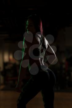 Silhouette Attractive Young Woman Standing Strong In The Gym And Flexing Muscles - Beautiful Athletic Fitness Model Posing After Exercises