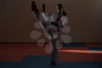 Silhouette Woman Practicing Her Karate Moves - White Kimono - Black Belt