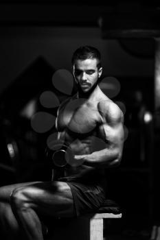 Model Working Out Biceps In A Gym On Bench - Dumbbell Concentration Curls