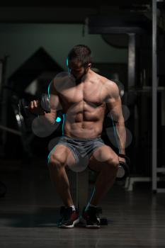 Model Working Out Biceps In A Gym On Bench - Dumbbell Concentration Curls