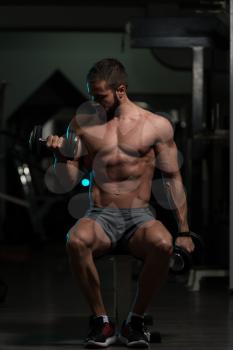 Athlete Working Out Biceps In A Gym On Bench - Dumbbell Concentration Curls
