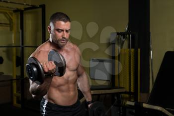 Man Working Out Biceps In A Gym - Dumbbell Concentration Curls