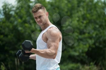 Athlete Working Out Biceps In Nature - Dumbbell Concentration Curls