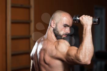 Man Working Out Shoulders In A Gym - Dumbbell Concentration Curls