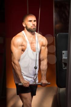 Handsome Muscular Fitness Bodybuilder Doing Heavy Weight Exercise For Triceps On Machine In The Gym