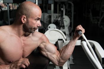 Strong Man In The Gym Exercising Biceps On Machine - Muscular Athletic Bodybuilder Fitness Model Exercise