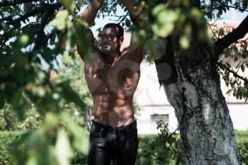 Handsome Mature Man Standing Strong Outdoors In Nature And Flexing Muscles - Muscular Athletic Bodybuilder Fitness Model Posing After Exercises