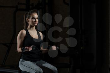 Young Fitness Woman Working Out Biceps In Fitness Center - Dumbbell Concentration Curls