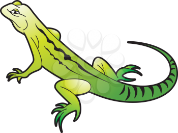 Royalty Free Clipart Image of a Chameleon