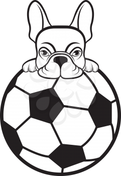 Royalty Free Clipart Image of a Boston Terrier on a Soccer Ball