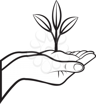 Royalty Free Clipart Image of a Person Holding a Plant