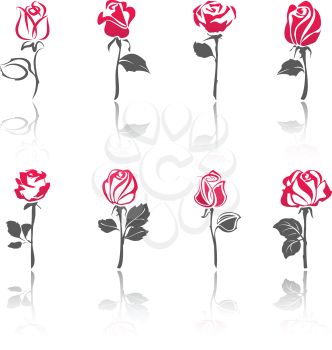 Roses, set icons with reflection