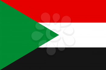 Flag of Palestine. Rectangular shape icon on white background, vector illustration.