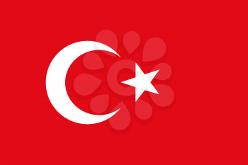 Flag of Turkey. Rectangular shape icon on white background, vector illustration.