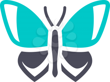 Butterfly, gray turquoise icon on a white background
