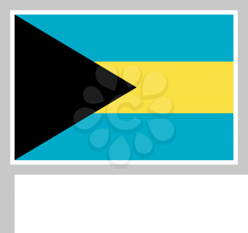 Bahamas flag on flagpole, rectangular shape icon on white background, vector illustration.