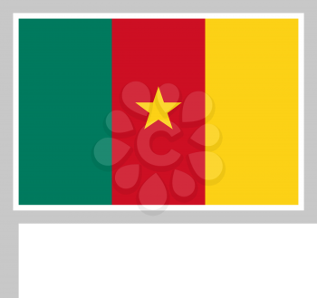 Cameroon flag on flagpole, rectangular shape icon on white background, vector illustration.