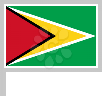 Guyana flag on flagpole, rectangular shape icon on white background, vector illustration.