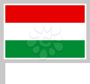 Hungary flag on flagpole, rectangular shape icon on white background, vector illustration.