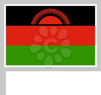 Malawi flag on flagpole, rectangular shape icon on white background, vector illustration.