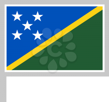Solomon flag on flagpole, rectangular shape icon on white background, vector illustration.
