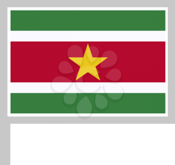 Suriname flag on flagpole, rectangular shape icon on white background, vector illustration.