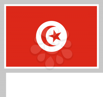 Tunisia flag on flagpole, rectangular shape icon on white background, vector illustration.
