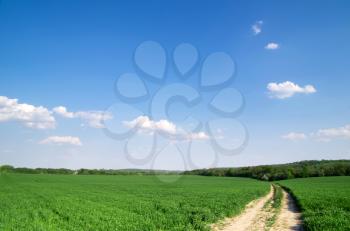 Royalty Free Photo of a Green Field and Blue Sky