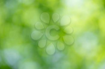 Royalty Free Photo of a Bokeh Leaf Background