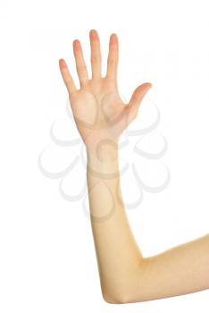 Royalty Free Photo of a Raised Hand