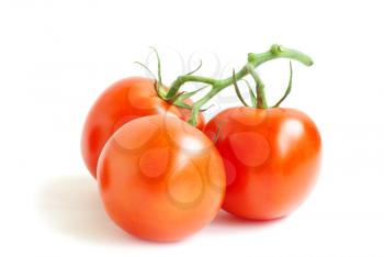 branch of tomato isolated over white background