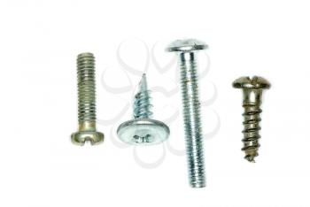 Macro screw, bolts isolated on white background
