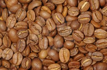 Brown background from coffee grains 