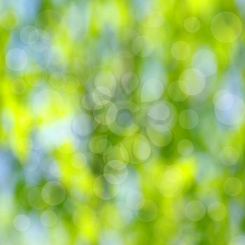 green abstract light textures background