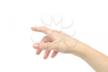 hand  on a white background