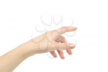 hand  on a white background
