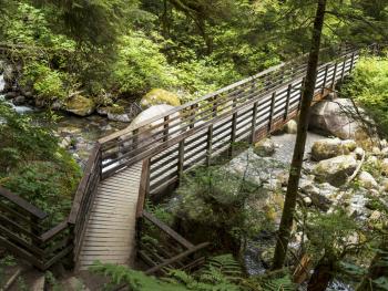 wooden bridge crossing over small stream into deep woods