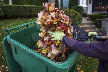 Person putting in autumn leaves in to recycle  bin with yard and home in background