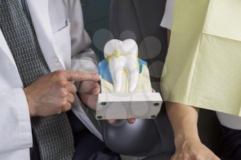 Horizontal photo of a male dentist educating female patient on teeth care with model teeth display