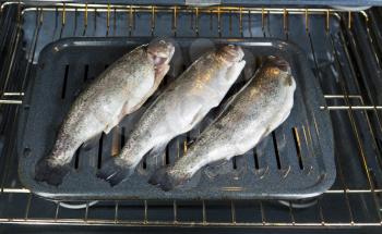 Fresh fish on broiler pan on top rack in electric oven