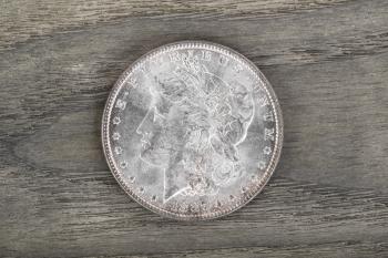 High Quality American Silver Dollar on fading white ash wood