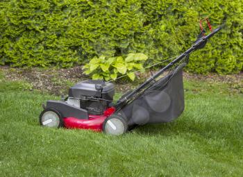 Horizontal photo of old gas lawnmower on grass yard with tall bushes and flower garden in background