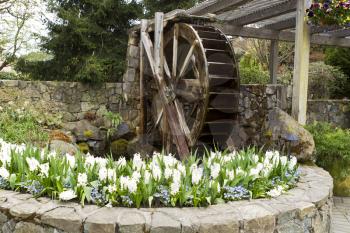 Old water mill with water running into flower pond