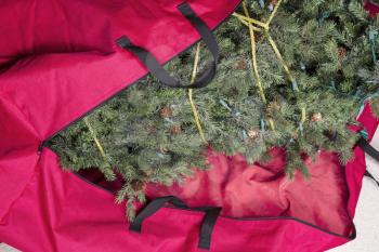 Large artificial Christmas tree being placed in red nylon zipper bag for next season