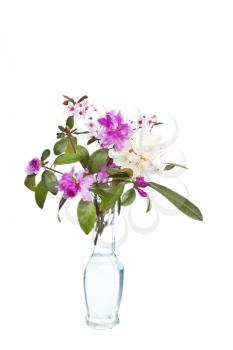Assortment of seasonal flowers in glass vase on white background