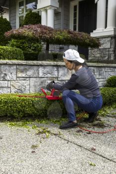 Woman trimming hedges with electric Shares at  home