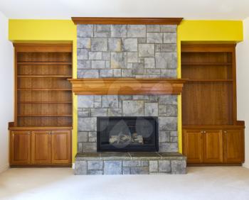 Yellow Accent wall with fireplace and book shelves