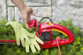 Horizontal photo of male hand holding electrical power cutting shears over green hedges with stone wall in background 