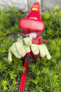 Vertical photo of light green work gloves and safety glasses sitting on top of electrical power cutting shears over green hedges with stone wall in background 